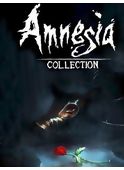 amnesia-collection